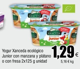 FROIZ Yogur Xanceda ecológico Junior con manzana y plátano o con fresa 2x125 g unidad oferta