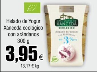 FROIZ Helado de Yogur Xanceda ecológico con arándanos 300 g oferta