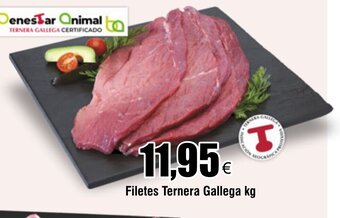 FROIZ Filetes Ternera Gallega kg oferta