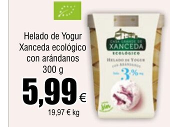 FROIZ Helado de Yogur Xanceda ecológico con arándanos .300 g oferta