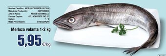 FROIZ Merluza volanta 1-2 kg oferta