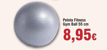 FROIZ Pelota Fitness Gym Ball 55 cm oferta