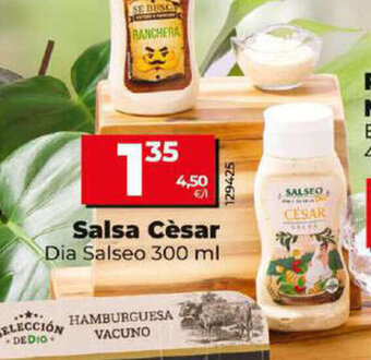 Dia Salsa Cèsar oferta