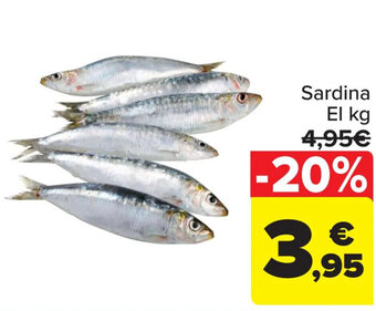 Carrefour Sardina El kg oferta