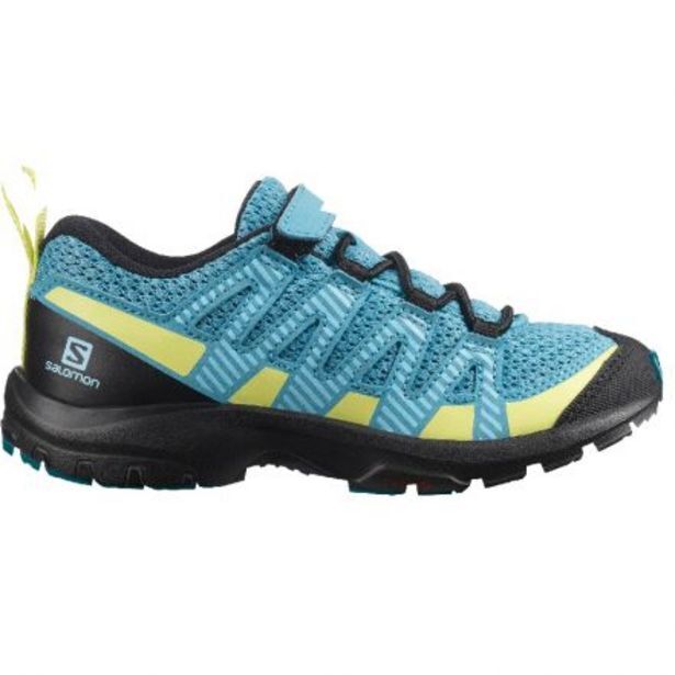 Wala Xa pro v8 k delphinium blue oferta