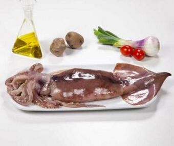 5 Océanos Pota entera oferta