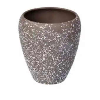 Verdecora Cubre orquidea moon 12x16cm oferta