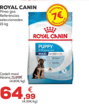 Kiwoko ROYAL CANIN Pinso gos Referències seleccionades oferta
