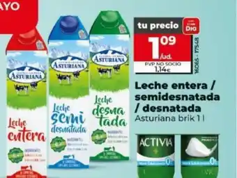 La Plaza de DIA Leche entera/ semidesnatada / desnatada oferta