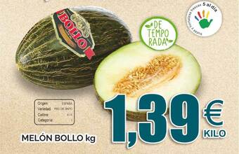 FROIZ Melón Bollo Kg oferta