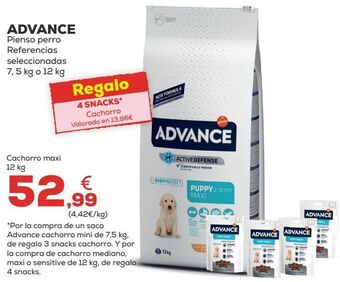 Kiwoko Pienso para perros advance oferta