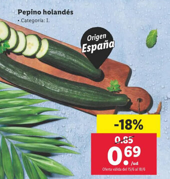 Lidl Pepino holandés oferta