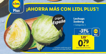 Lidl Lechuga Iceberg oferta