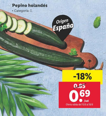 Lidl Pepino holandés oferta