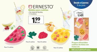 Lidl Moldes ernesto oferta