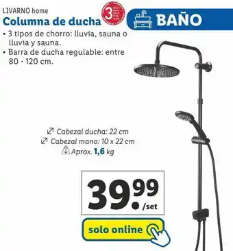 Lidl Columna de ducha livarno oferta