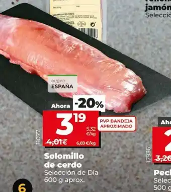 Dia Solomillo de cerdo 600g oferta