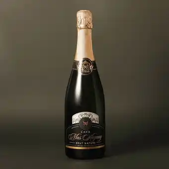 Ametller Origen Cava brut nature mas argany 75cl oferta