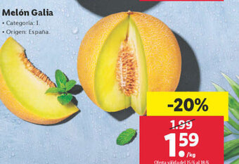 Lidl Melón Galia oferta