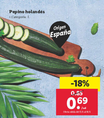 Lidl Pepino holandés oferta