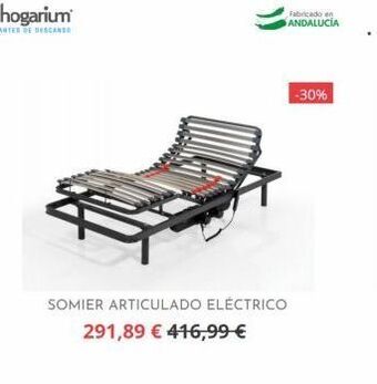 Hogarium Somier articulado oferta