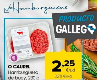 Autoservicios Familia Hamburguesas oferta