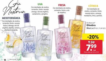 Lidl Ginebra oferta