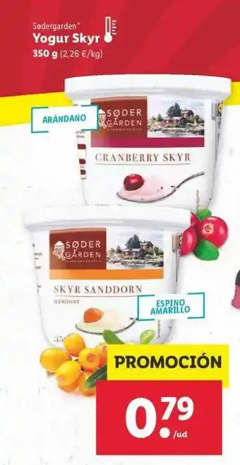 Lidl Sodergarden Yogur Skyr 350 g oferta