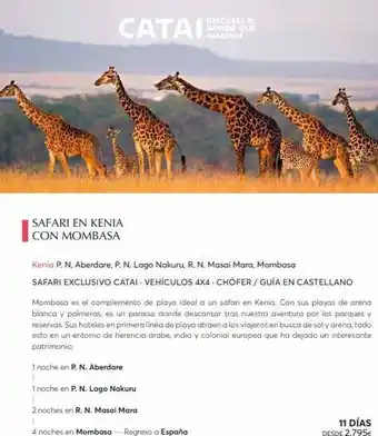 Catai Catai safari en kenia con mombasa kenia p. n. aberdare, p. n. lago nakuru, r. n. masai mara, mombasa safari exclusivo cata oferta