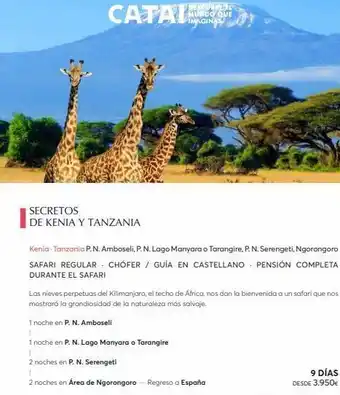 Catai Catal secretos de kenia y tanzania descorre t mundo que imaginas kenia - tanzania p. n. amboseli, p. n. lago manyara o ta oferta