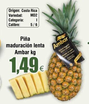 FROIZ Piña maduración lenta Ambar kg oferta