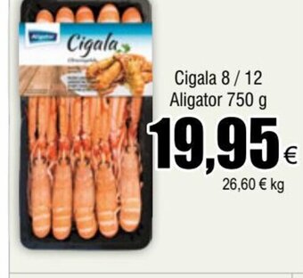 FROIZ Cigala 8/12 Aligator 750 g oferta