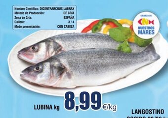 FROIZ LUBINA kg oferta