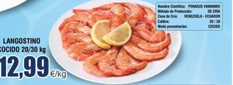 FROIZ LANGOSTINO COCIDO 20/30 kg oferta