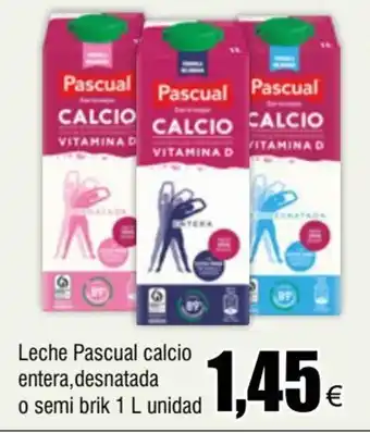 FROIZ Leche Pascual calcio € entera, desnatada o semi brik 1 L unidad oferta