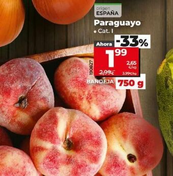 Dia Paraguayo oferta