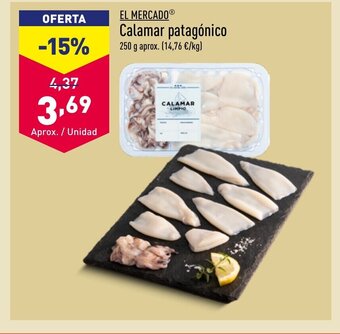 EL MERCADOⓇ Calamar patagónico