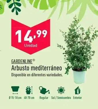 ALDI Arbustos mediterraneo gardenline oferta