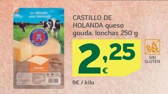 HiperDino Queso gouda castillo de holanda oferta