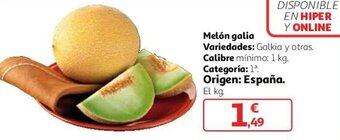 Alcampo Melón galia oferta