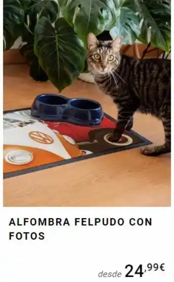 Alfombra felpudo con fotos desde 24,99€