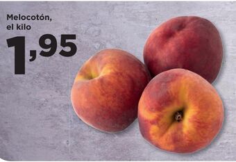 Alimerka Melón oferta