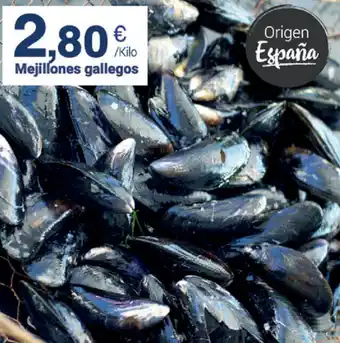 Supermercados Plaza Mejillones gallegos oferta
