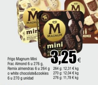 FROIZ Frigo Magnum Mini oferta