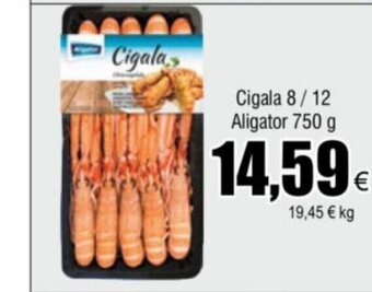 FROIZ Cigala 8/12 Aligator 750 g oferta