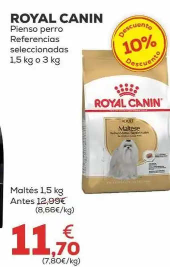 Kiwoko Pienso para perros royal canin oferta
