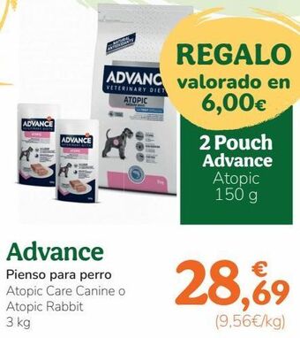TiendAnimal Pienso para perros advance oferta