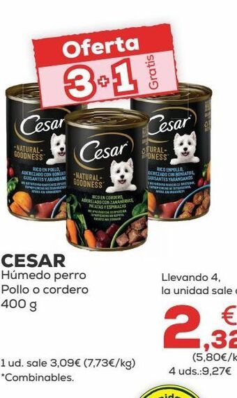 Kiwoko Comida para perros cesar oferta