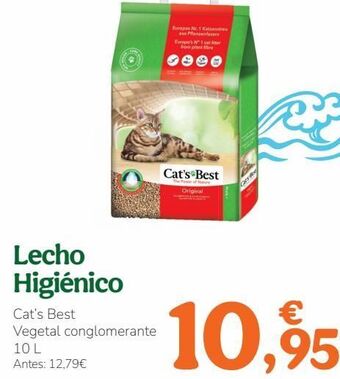 TiendAnimal Arena para gatos oferta