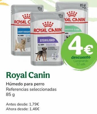 TiendAnimal Comida para perros royal canin oferta
